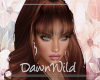 Ludimilia Henna Bangs
