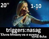 triggers:nasag