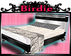 B| White|Silver Bed
