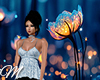 m: Magical Forest Bg