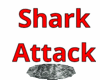 Shark Attack!!!