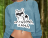 No Drama Llama 2