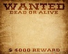 Wanted Poster backdrop