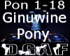 Pony Ginuwine