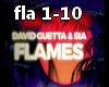 D.Guetta & Sia- Flames 1