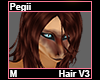 Pegii Hair M V3