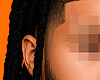 Jacob Locks