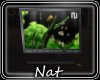 NT TV Radio