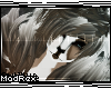 [x] Lazare *M
