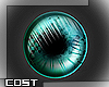 CT-eyes v.1