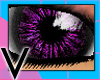  ¨ Eye - Purple