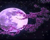 moon bed