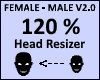 Head Scaler 120% V2.0