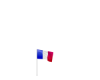 French Flag