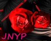 JNYP! Red Roses