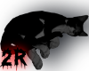 Sleeping Cat