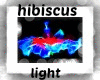 HibiscusLight