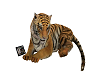 Tiger and Tablet