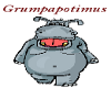 (BSD)Grumpy Hippo