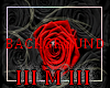 BACKGROUND ROSES