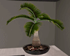 [Devyn] Life Size plant