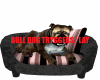 BULL DOGS BED ANIMATED