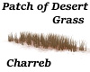 !Patch of Desert Grass