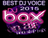 Best DJ Voice D4V