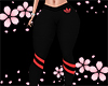 Sport Pant Red Rll