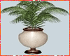 Kawaii Potted Fern