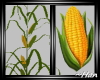 Neoterica Corn Stalk