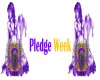 pledge week banner