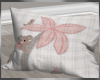 Koala Pillow 4