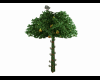 Birdtree