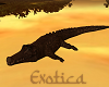Crocodile