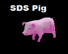 SDS Tavern Pig
