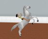 (CS)sliver horse animate