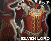 ! Elven Lord Coat