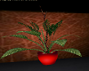 Plant in Red Pot