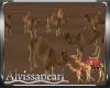 Desert Dreams Camels