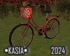 Bear Bike 2024