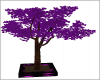 solitary Purple Tree