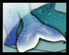 N: Sharky's Tail