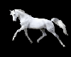 white horse marker