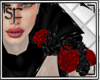 SF Katrina Bundle