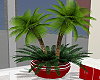 Mod Potted Palm Trees