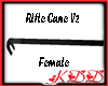 KDD Rifle Cane BlkHandle