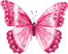 animated pink butterfly
