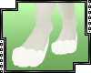 [M] Msanii Paws