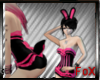 ! Bunny Outfit l Tail